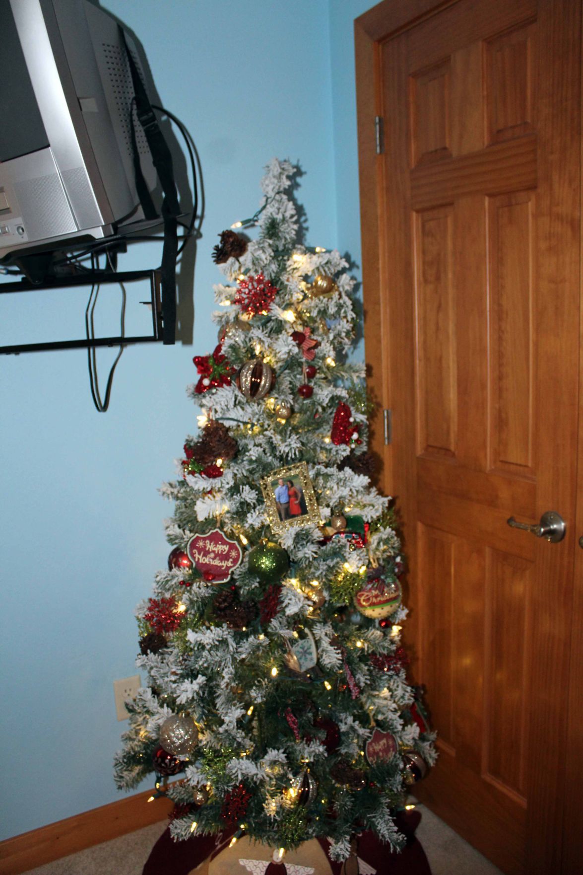 122418-ctzn-news-trees009